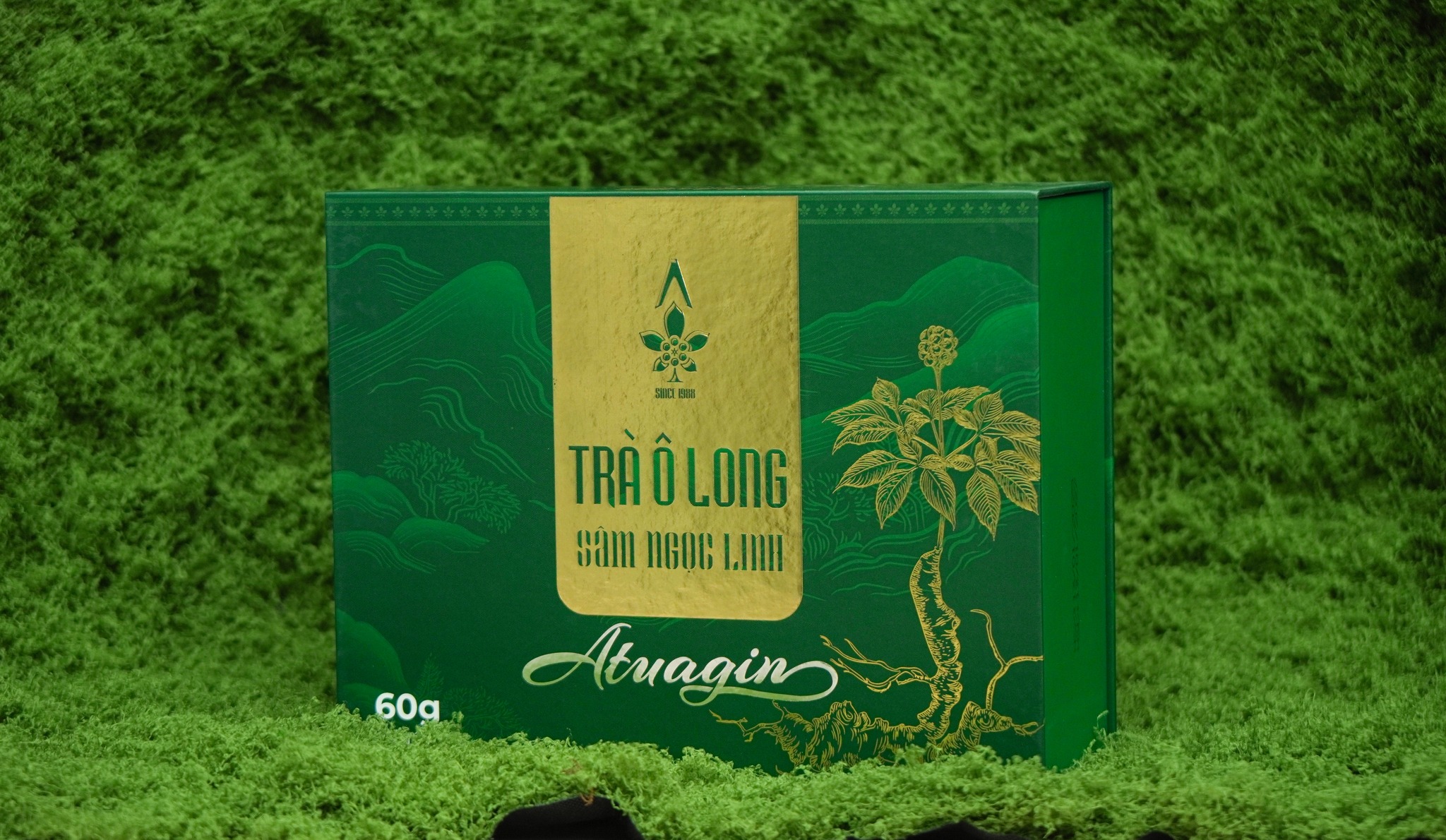 Trà ô long sâm Ngọc Linh (2)